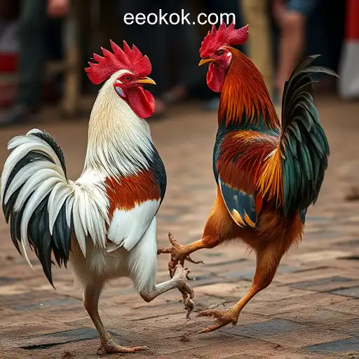 OKOKEE.com Oficial Slots Brasil #1-BONUS6